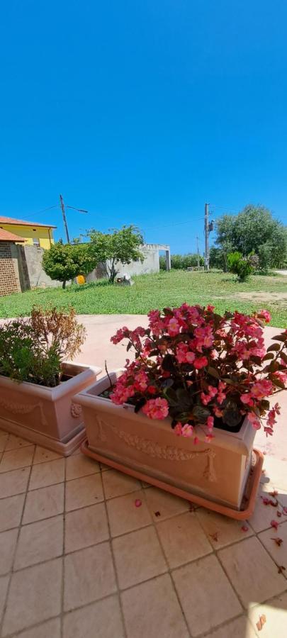 B & B Le Tre Rose Tollo Kültér fotó